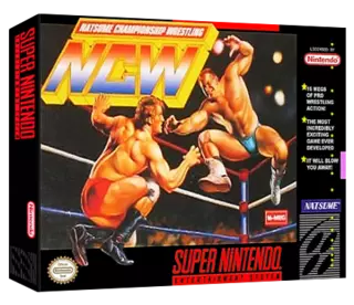 ROM Natsume Championship Wrestling